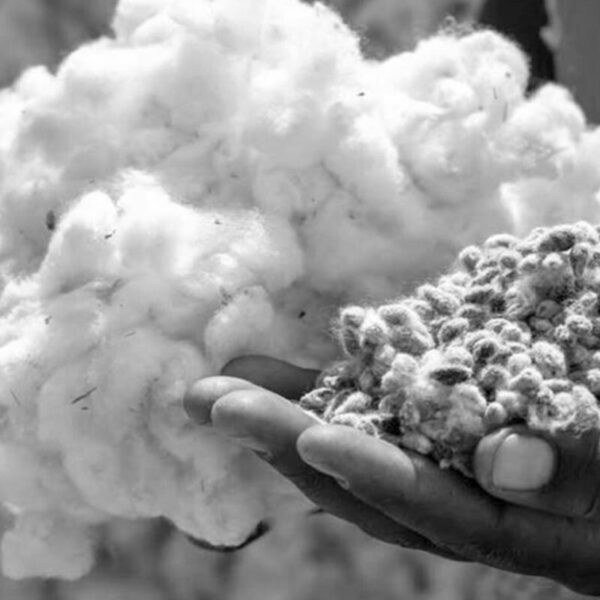 sustainability-materials-positive-r2bn8b7ptx79eczwzc2ujc6lyfhb0i3jd8yg55jkg0